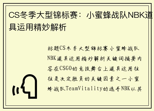 CS冬季大型锦标赛：小蜜蜂战队NBK道具运用精妙解析